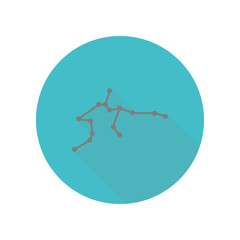 Constellation and part of zodiacal system canser aquarius long shadow icon. Simple glyph, flat vector of web icons for ui and ux, website or mobile application