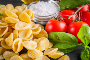 concept of traditional italian pasta with tomatoes and basil