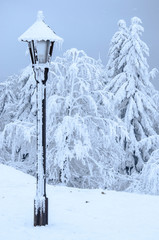 Lamp covered in snow