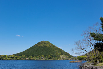 春の藺牟田池湖畔	