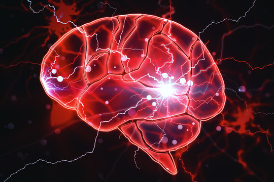 Creative AI brain  and circulatory system
