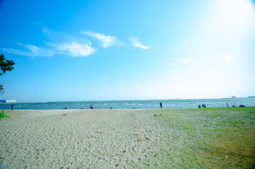 三番瀬海浜公園