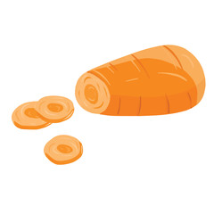 Fresh carrot vegetable slices isolated on white. Ingredient for salad, soup, delishious meals. Hand drawn vector