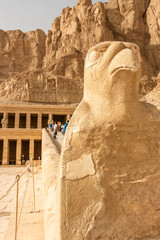 Sculpture of ancient Egyptian God Horus at the Temple of Hatshepsut