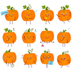Fototapeta premium Pumpkin.