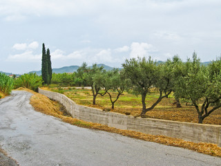 Landschaft mediterran