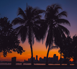 tropical sunset miami palm tree beach tree orange sky silhouette vacation sunrise landscape buildings horizon nature palm tree dusk island summer beautiful eden © Alberto GV PHOTOGRAP