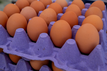 Raw fresh brown farm chicken eggs stacked on a purple cardboard carton trays. The eggs are from a farmer's market where the nutritional food item has been grown organically. 