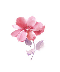 Flowers watercolor illustration.Manual composition.Big Set watercolor elements，Design for textile, wallpapers，Element for design,Greeting card