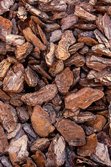texture wooden piece of bark brown vertical background natural country
