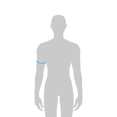 Men measurements fashion.