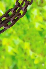 vertical texture light green rusty old brown chain upper left corner frame