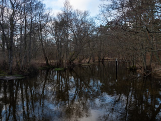 Fototapeta na wymiar Piasnica river during winter time, Debki, Poland