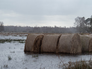 Sheaves of hay sunk in the water after pouring the river © Beata