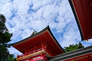 Fototapeta na wymiar 秋の空をバックに見上げるカラフルな神社の情景