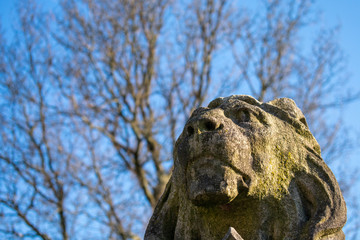 A Portrait Shot of a Lion Statue With a Dead Tree in the Background