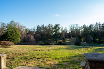 The View From the Elkins House, With Trees a Field and a Pond