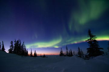 northern lights aurora borealis in churchill manitoba canada © Wandering Bear