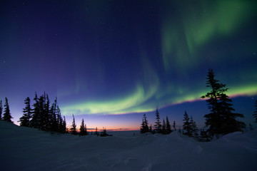 northern lights aurora borealis in churchill manitoba canada