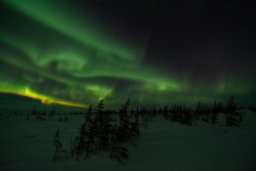Obraz na płótnie Canvas northern lights aurora borealis in churchill manitoba canada