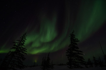 northern lights aurora borealis in churchill manitoba canada