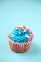 Cupcake on a blue background