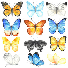 Watercolor set with multicolored butterflies. Hand painted clipart