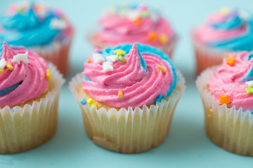 Colorful cupcakes on a  blue background