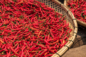 Fototapeta premium Many red chillies lay in a basket during the day time in the sun.