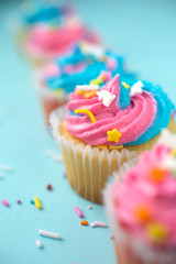Colorful cupcakes on a  blue background
