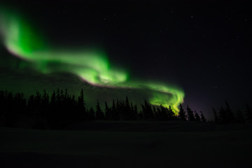 Obraz na płótnie Canvas northern lights aurora borealis in churchill manitoba canada