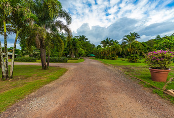Eco Wellness Nature Resort In Suriname