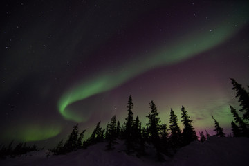 northern lights aurora borealis in churchill manitoba canada