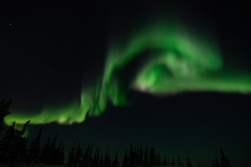 northern lights in churchill manitoba canada
