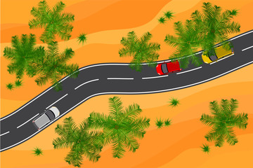 And empty desert and palms road aerial view vector illustration
