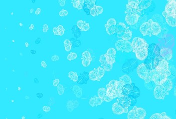 Light Blue, Red vector doodle pattern with flowers.