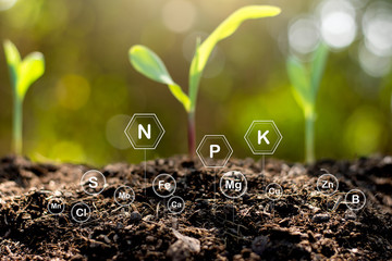 The soil is rich in minerals and various nutrients for cultivation.