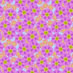Primula, primrose. Illustration, texture of flowers. Seamless pattern for continuous replication. Floral background, photo collage for textile, cotton fabric. For use in wallpaper, covers