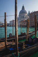View of gondolas in Venice, Italy © danieleorsi