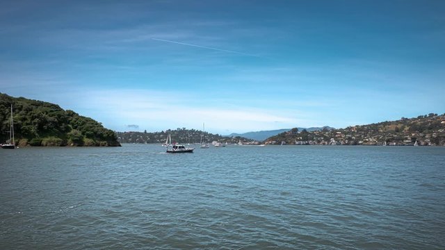 Tiburon Bay