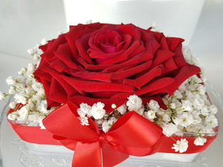 a bouquet of red roses