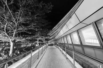 Fototapeta na wymiar Modern pedestrian walkway in public park at night