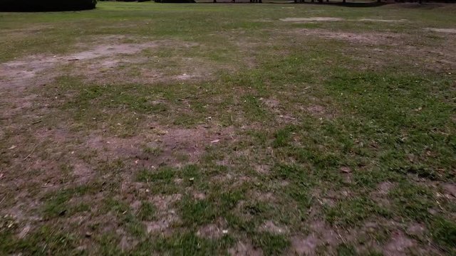 flying fast over a field of grass with dry patches
