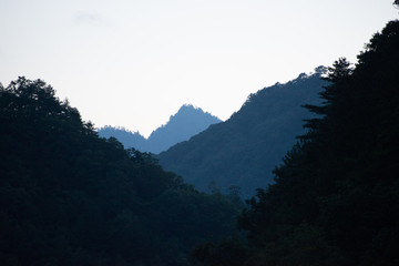 giant panda habitat in the mountains of south western china