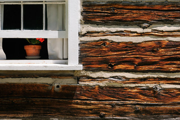Potted flower in open window of historic log cabin with aged red wood and mortar