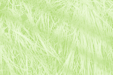 abstract light green background with copy space for design