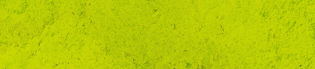 abstract lime and green colors background for design