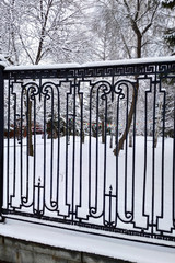 In the morning you can see the winter Park behind the old cast iron fence