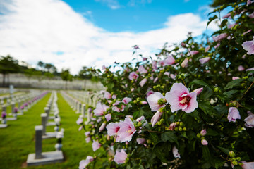 National Cemetery