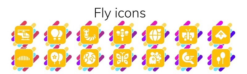 fly icon set